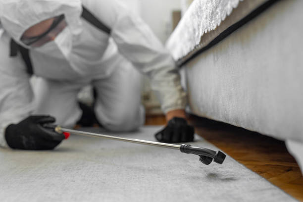 Professional Ant Control technician working in Anton, TX